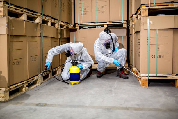 Fast and Effective Termite Extermination Company